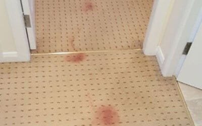 End of Tenancy Cleaning Glasgow