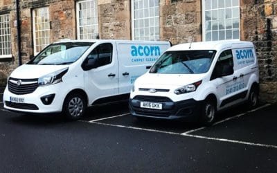 8 ADVANTAGES OF USING PROFESSIONAL CARPET CLEANING SERVICES