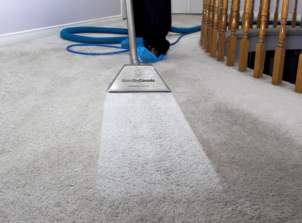 Carpet Cleaner Alexandria