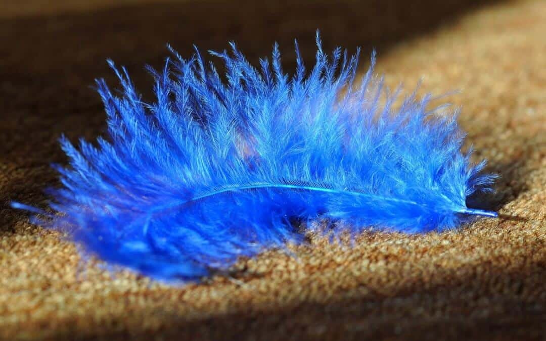 Cleaned Carpets Can Benefit Your Health